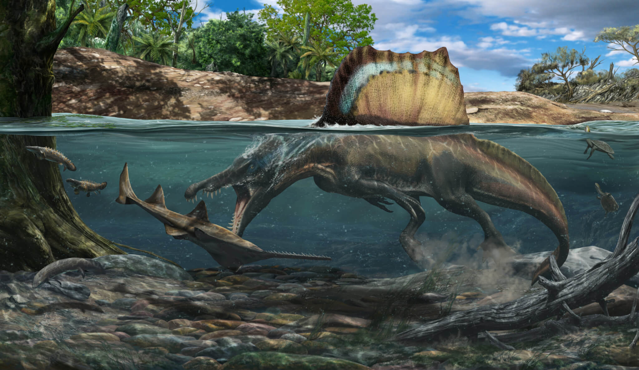 Spinosaurus
