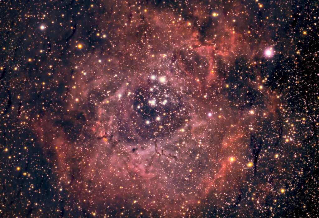 The Rosette Nebula
