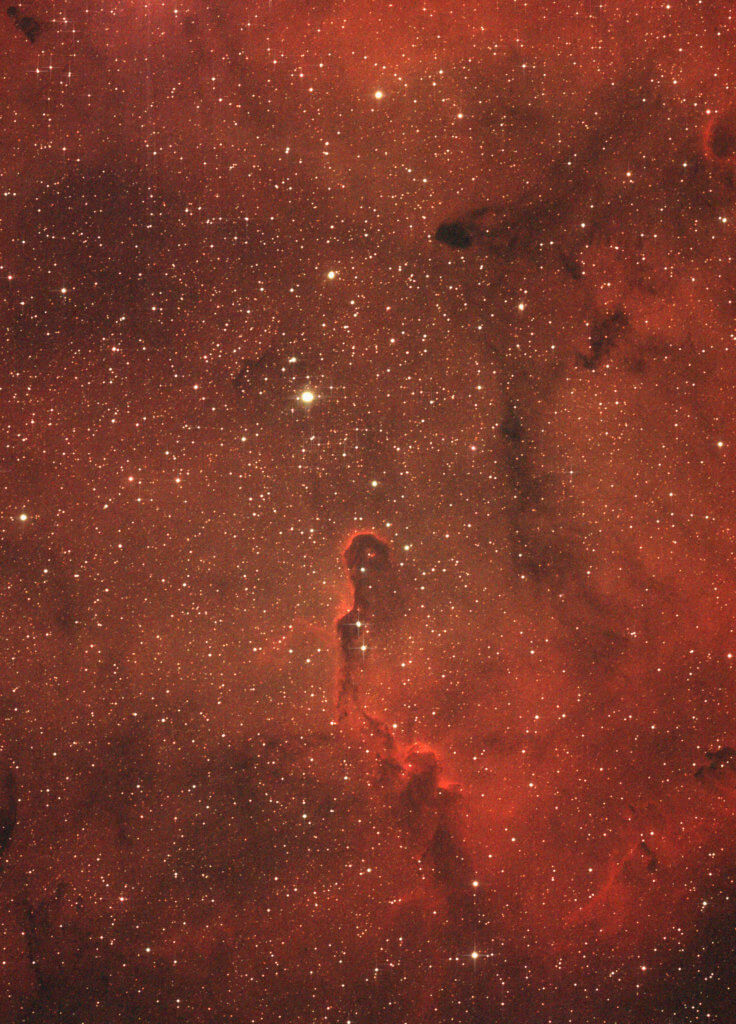 The Elephant's Trunk Nebula