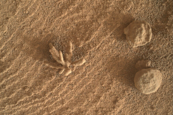 Mars growth from NASA's Curiosity
