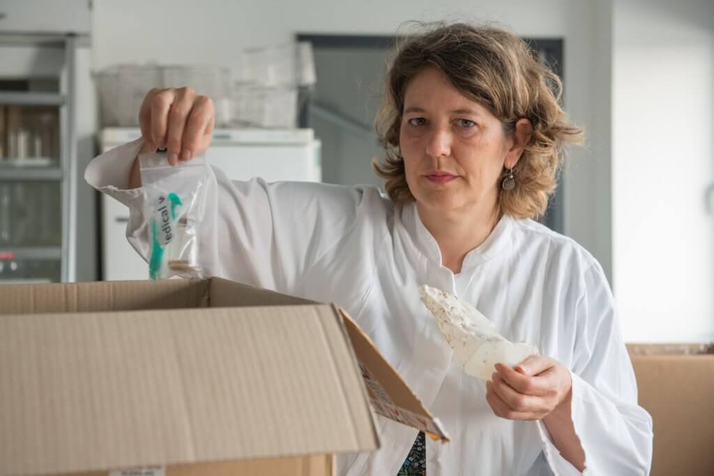 Melanie Bergmann