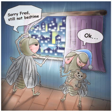 Insect cartoon