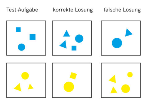 fish math cards