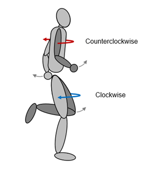arm swing