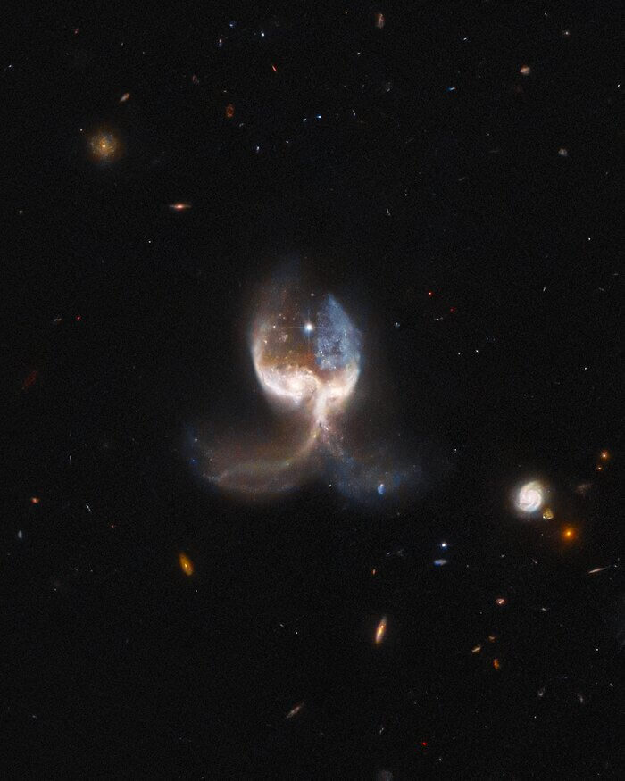 Hubble angel