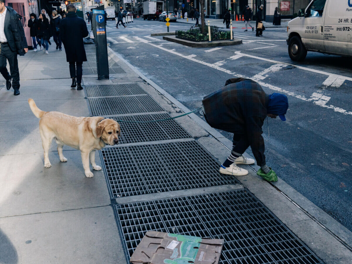 dog owner poop