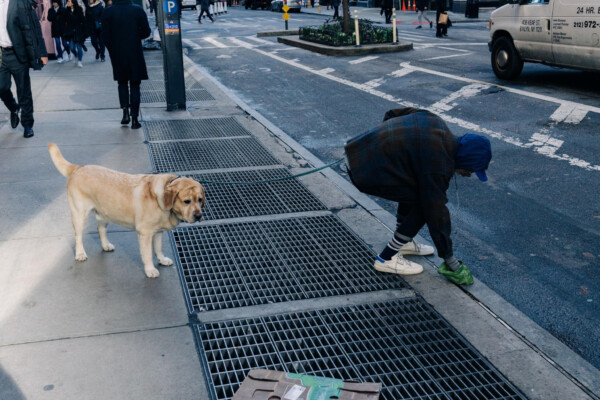 dog owner poop