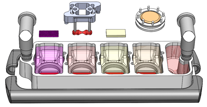 organ chip