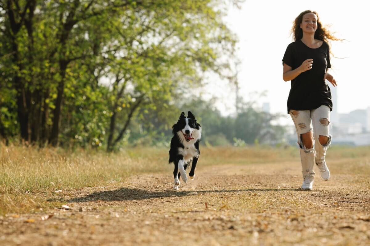 dog exercising