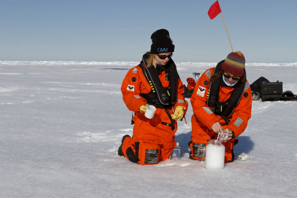 Scientists from the Alfred Wegener Institute
