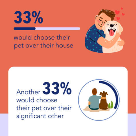 pet over home