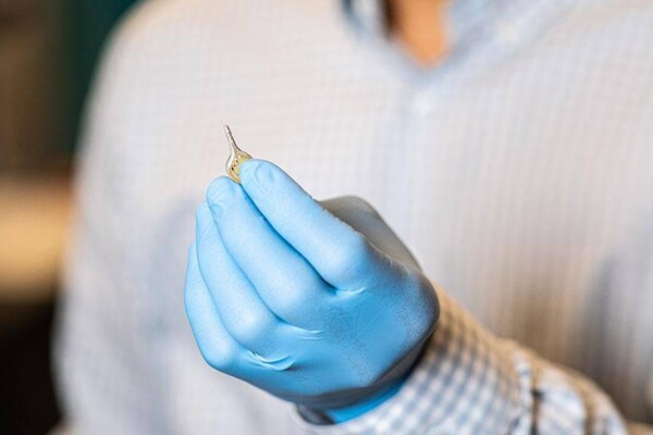 Photodynamic therapy