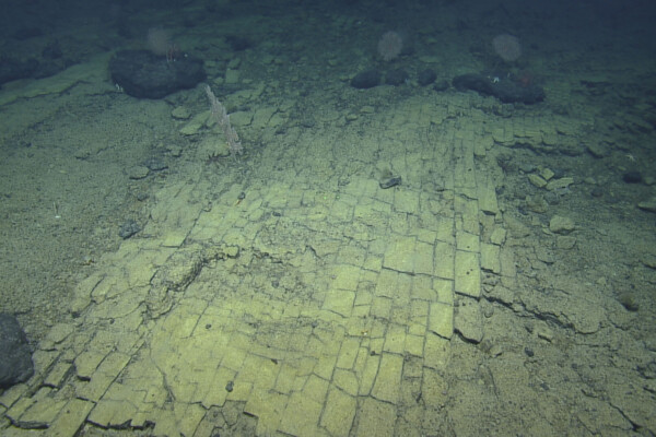 Deep sea road