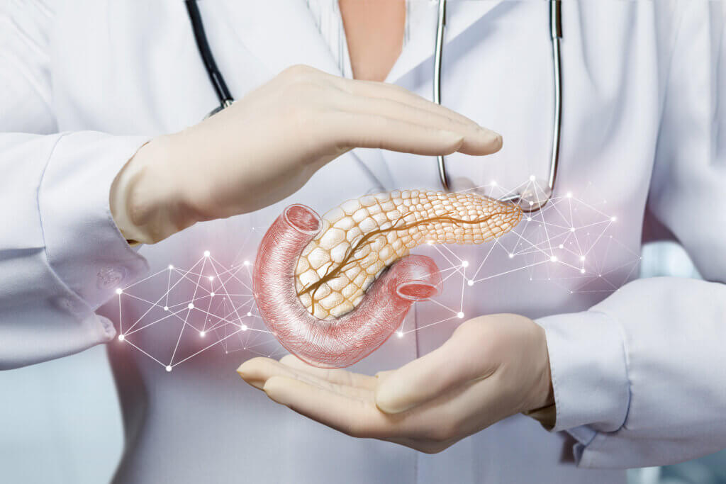 Pancreas