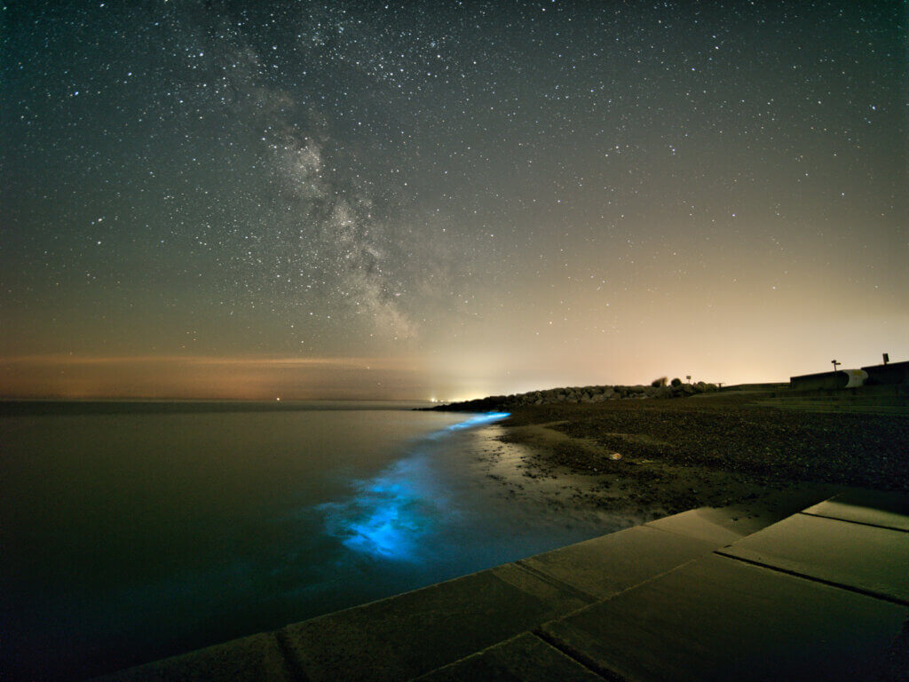 Bioluminescence and the Milky Way