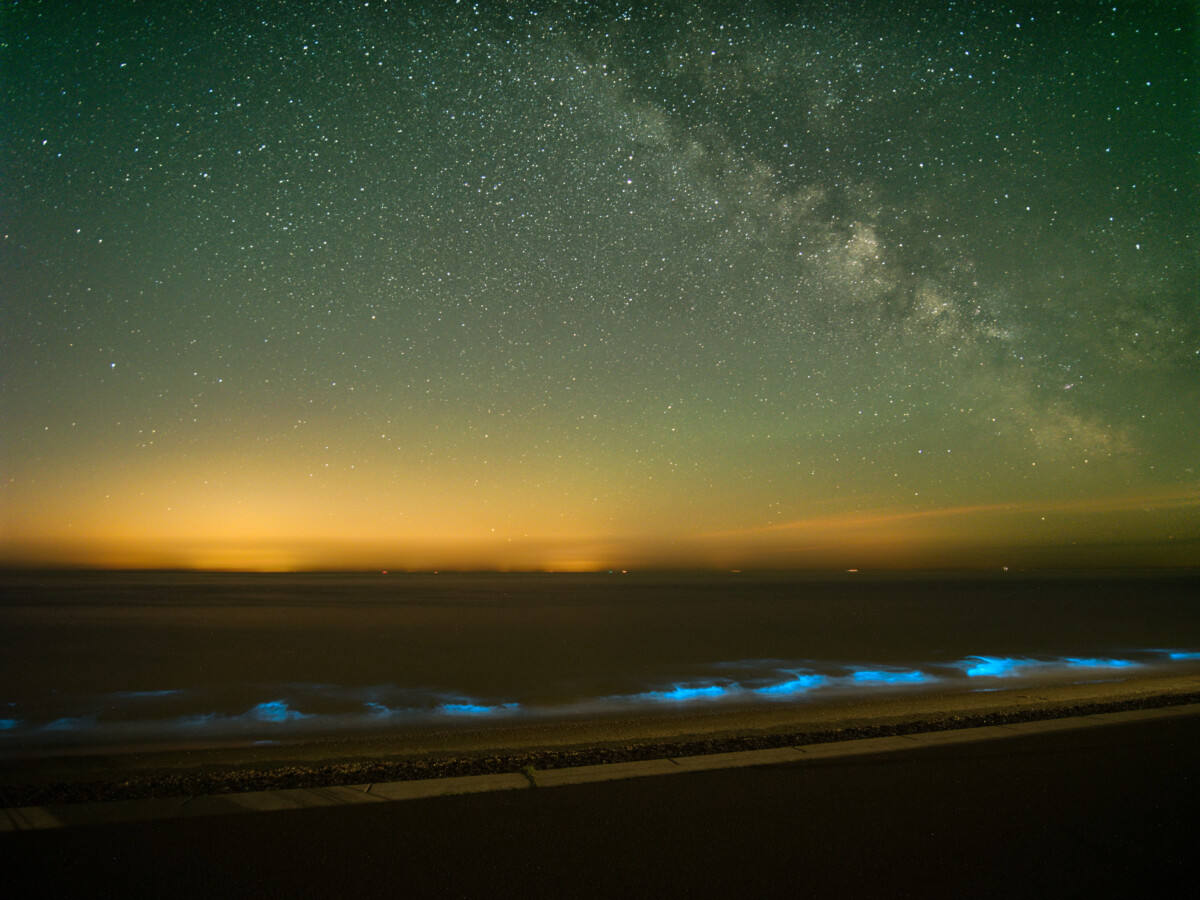 Bioluminescence and the Milky Way