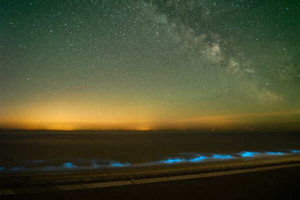 Bioluminescence and the Milky Way