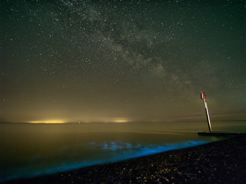 Bioluminescence and the Milky Way