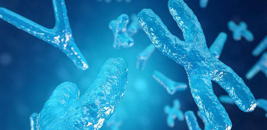 chromosome