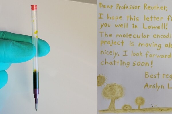 Molecular encryption key embedded in ink