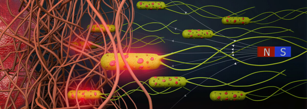 Microscopic robots