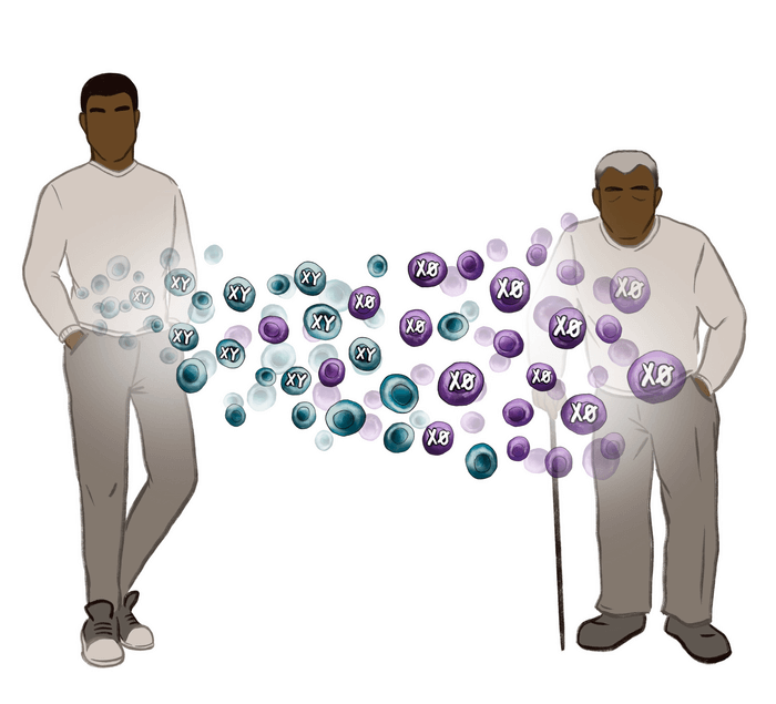 Men sex chromosome