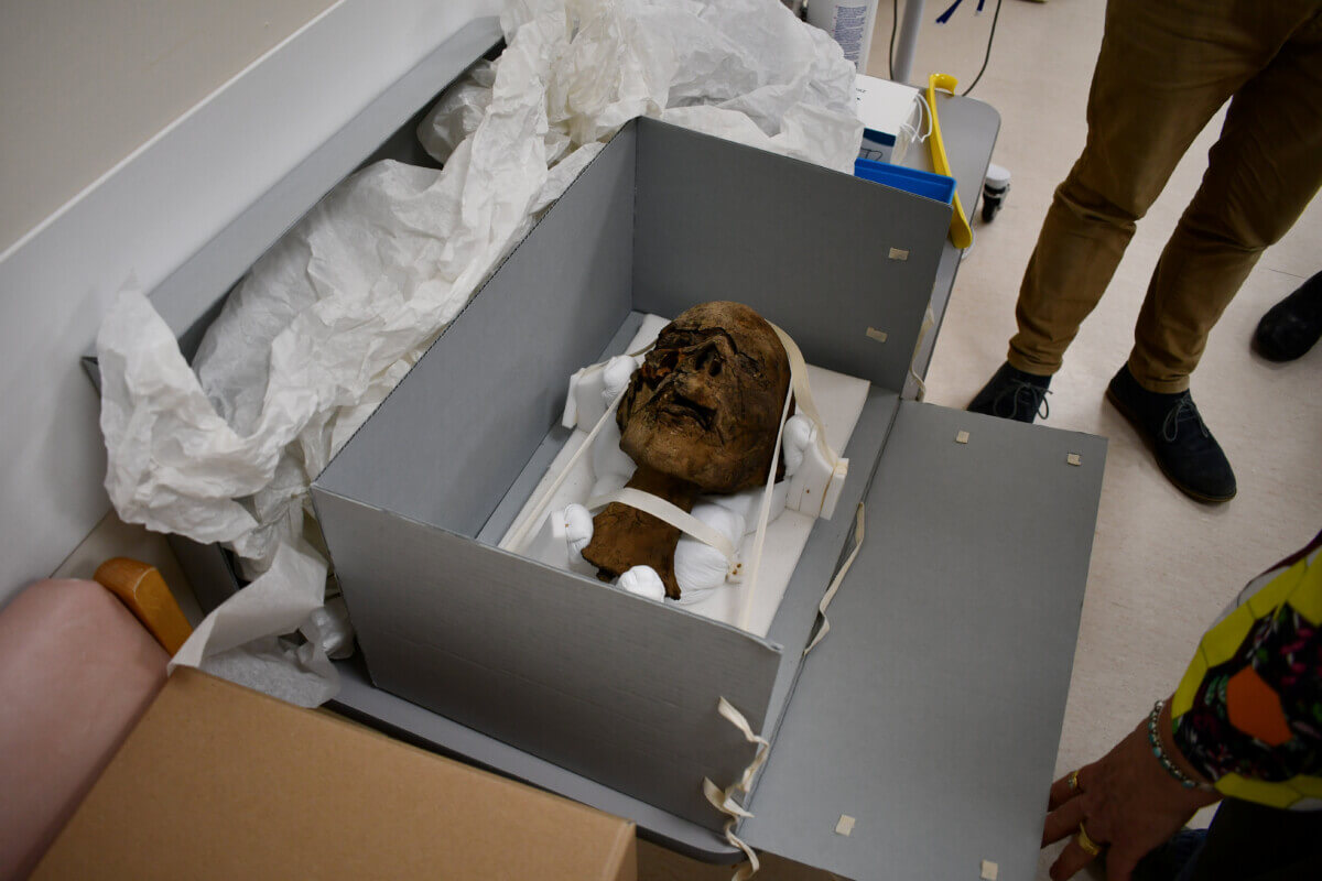 Decapitated Egyptian Mummy head.