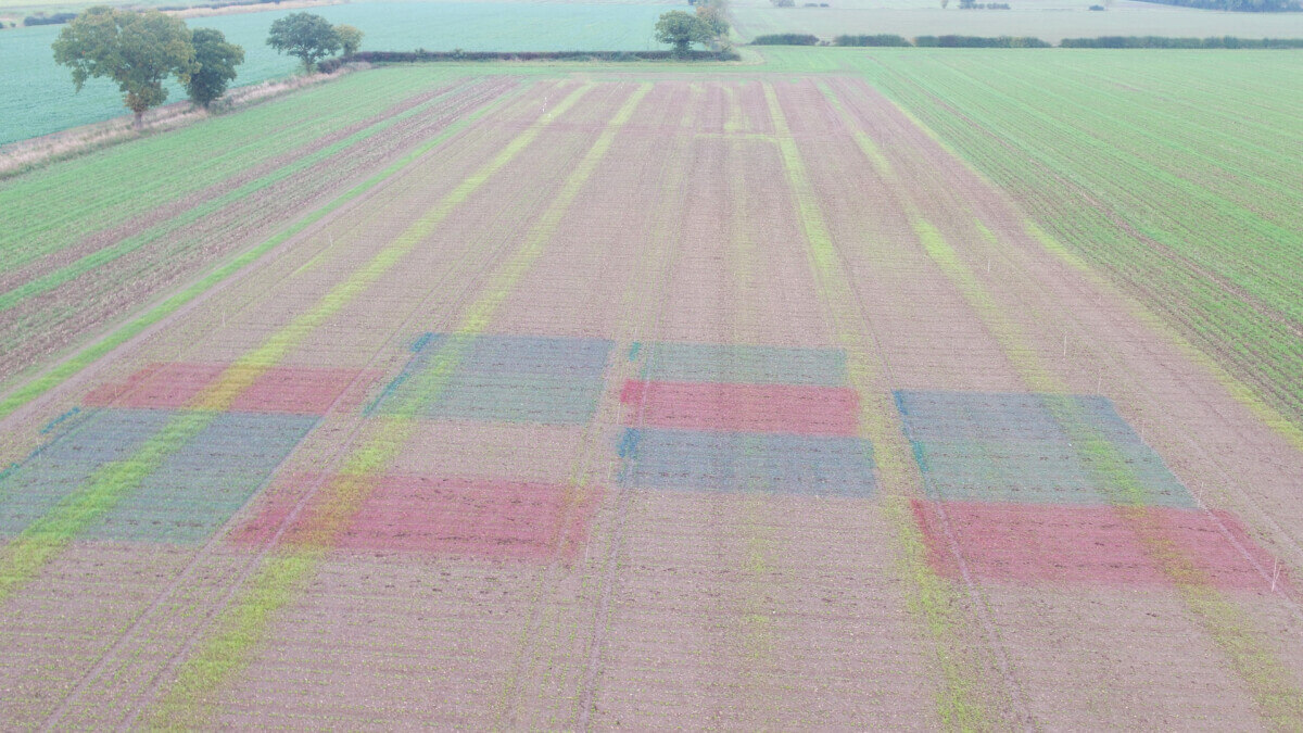 Camo-cropping