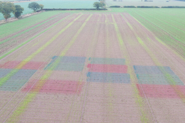 Camo-cropping