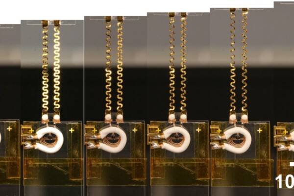 exercise necklace