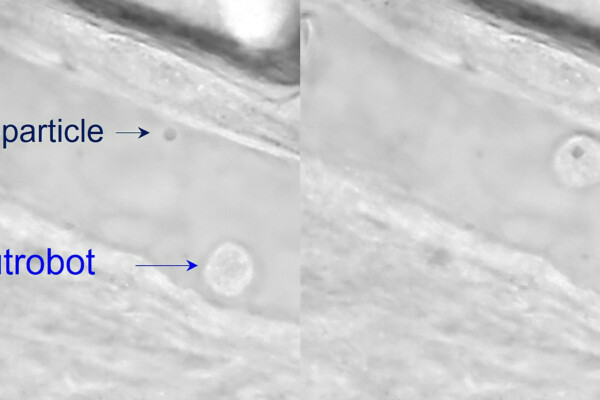 Microrobot blood cells