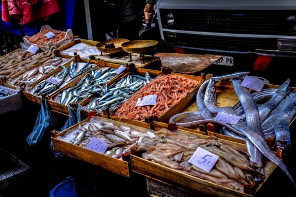 seafood market