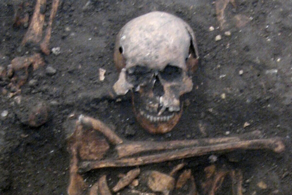 ASkeleton unearthed in ancient herpes DNA study