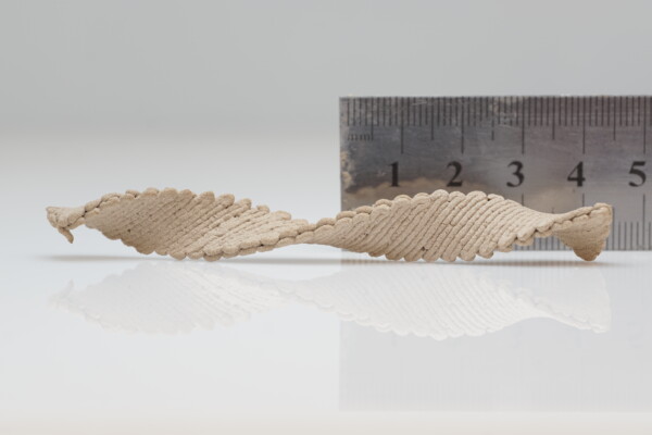 3D Printing wood