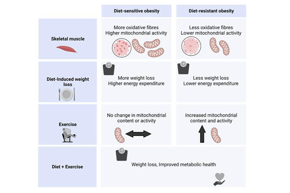 Diet Chart