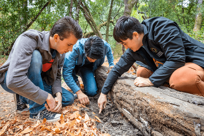 Academy curator Lauren Esposito, PhD, searches for scorpions with students Harper Forbes and Prakrit Jain. 