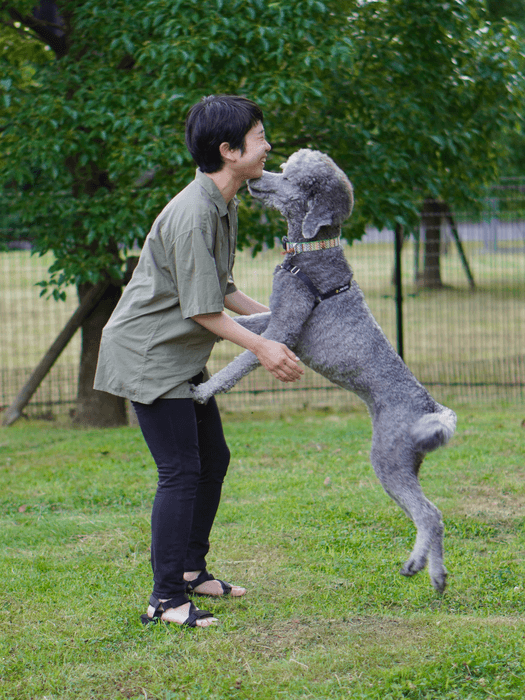 happy dog