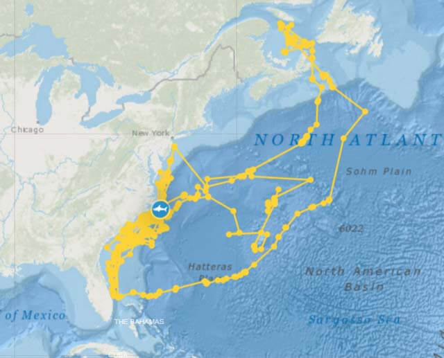 Tracking data from great white shark Breton