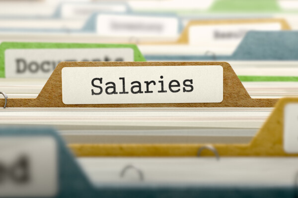 Job salaries file
