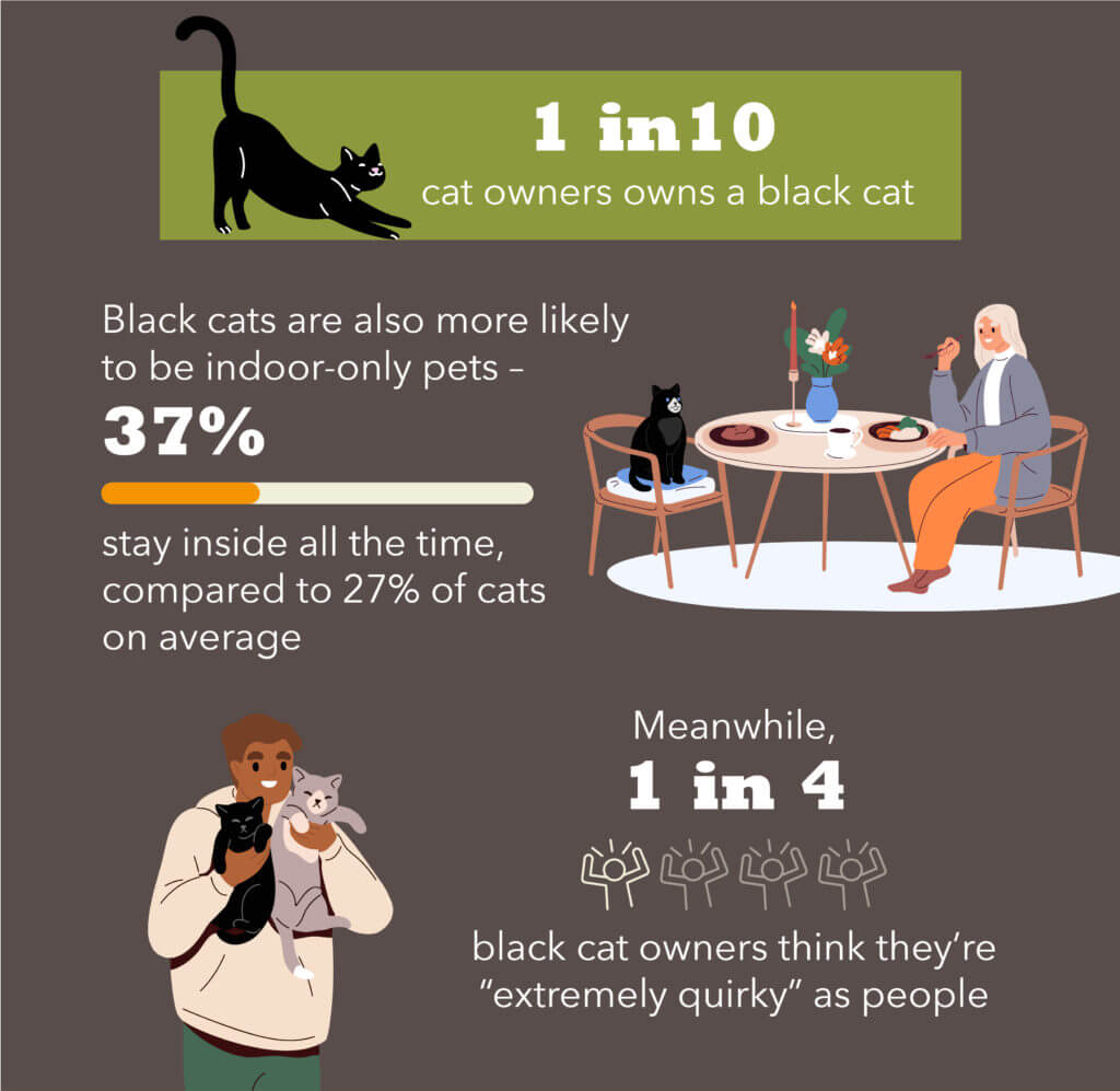 black cats