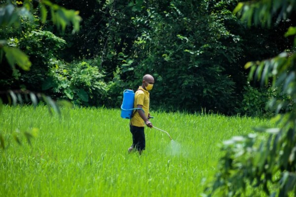 spraying pesticide