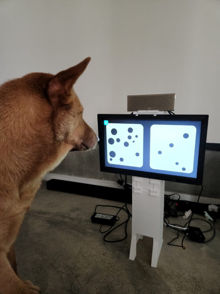 Joipaw dog health tracker