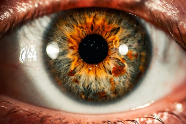 Closeup of eye