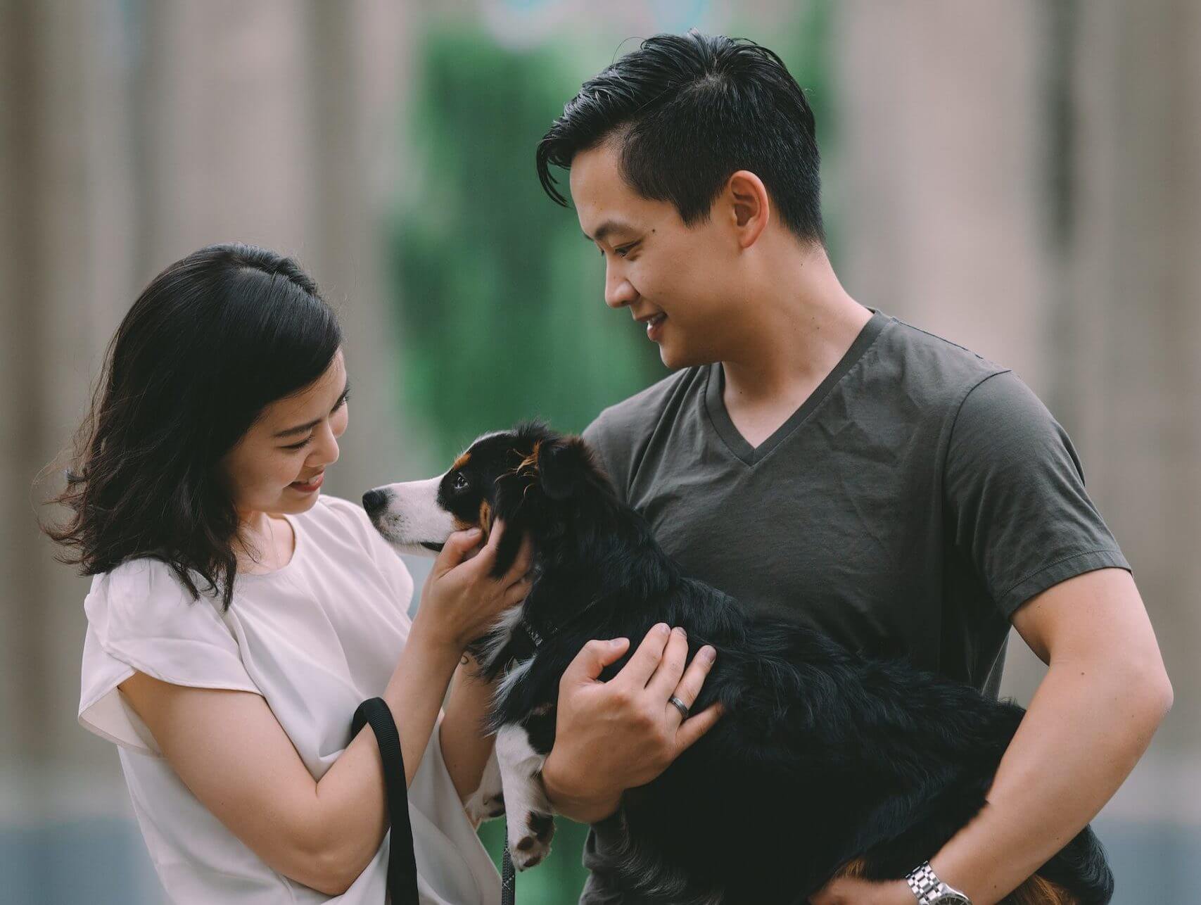 Dog with its owners