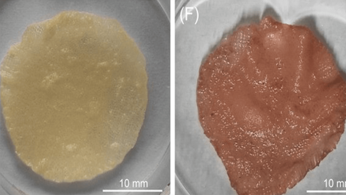 3d printing meat