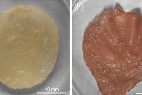 A new ink could make cultured meat more cost-effective