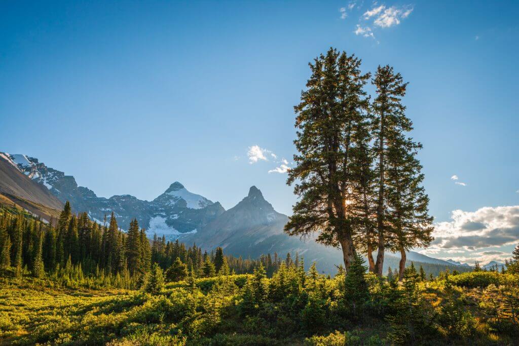 Jasper National Park is one of the best places to visit in Canada, according to experts.