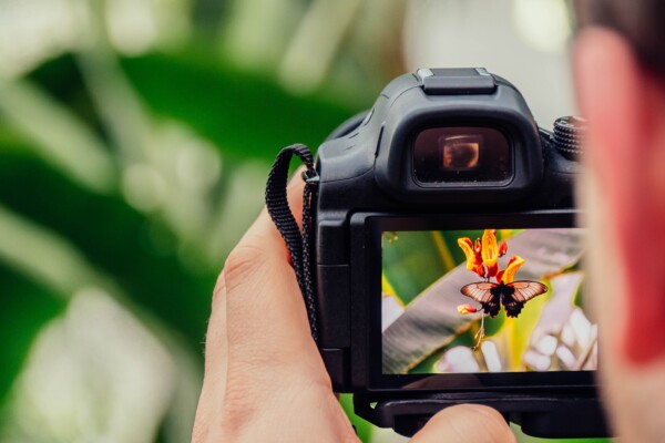 Man snapping a picture of nature with his camera.