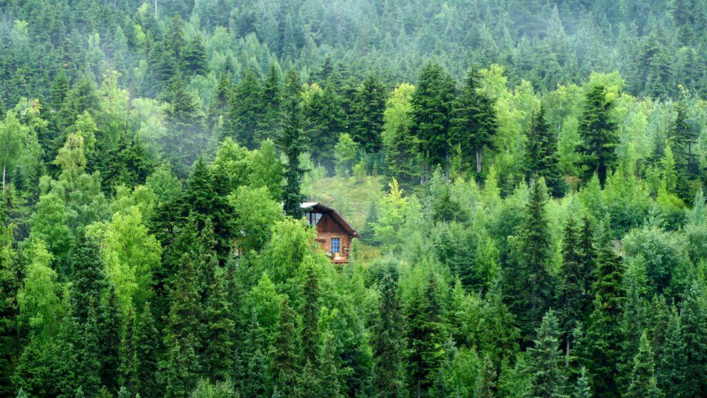 Remote, off-grid cabin in the Alaskan wilderness.