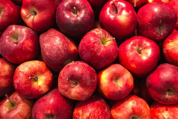 Red Delicious Apples are one of the best apples to eat, according to experts.